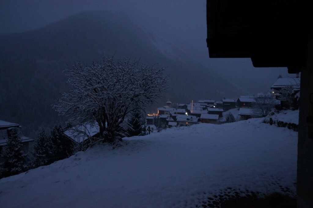 Dusk in a recently snowed village the branches of a tree in the foreground are coated in white.