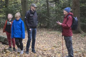 Forest path from the old castle