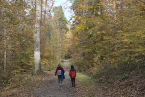 Walk from Castle Hill Tower