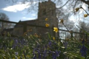 Foreground of bluebells with a church looming in the background